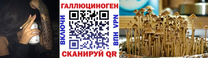 Псилоцибиновые грибы мицелий  закладки  Верхняя Салда 